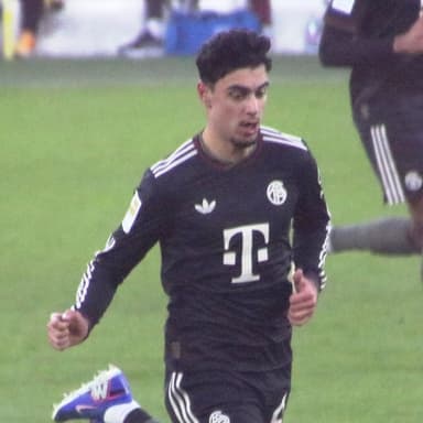 Aleksandar Pavlović profile photo