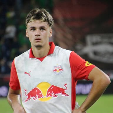 Kerim Alajbegović profile photo