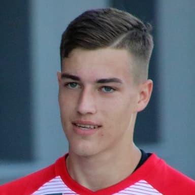 Luka Sučić profile photo