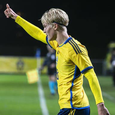 Lucas Bergvall profile photo