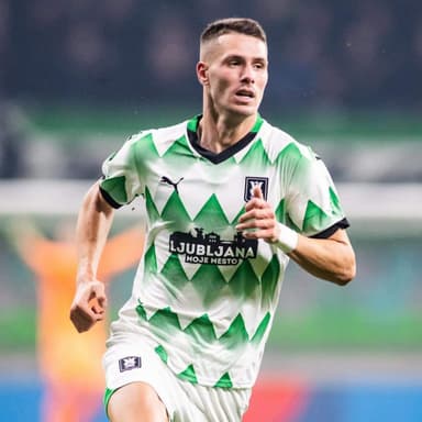 Raul Florucz profile photo